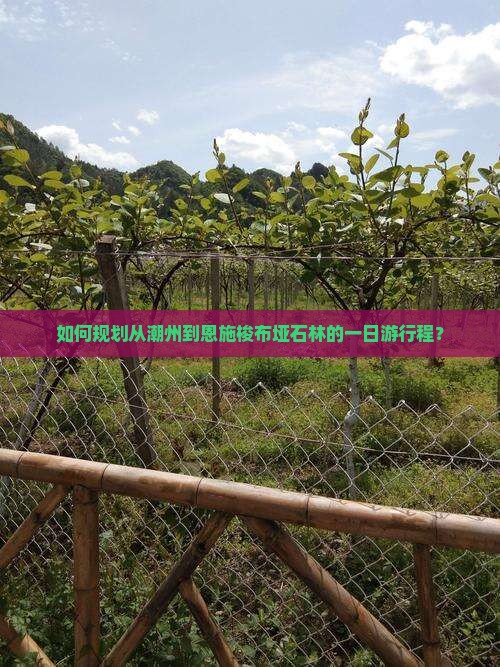 如何规划从潮州到恩施梭布垭石林的一日游行程？