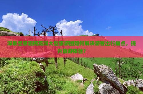深圳至恩施腾龙洞大型旅游团如何解决游客出行痛点，提升旅游体验？