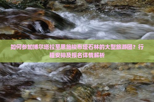 如何参加博尔塔拉至恩施梭布垭石林的大型旅游团？行程安排及报名详情解析