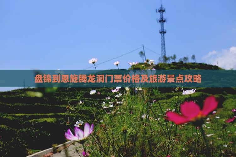 盘锦到恩施腾龙洞门票价格及旅游景点攻略