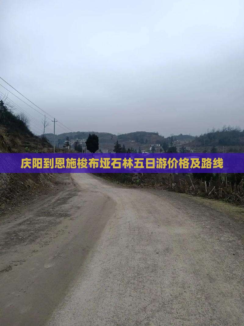 庆阳到恩施梭布垭石林五日游价格及路线
