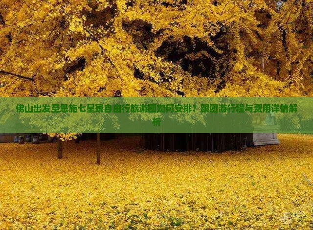 佛山出发至恩施七星寨自由行旅游团如何安排？跟团游行程与费用详情解析