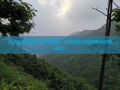 廊坊出发至恩施土司城旅游：当地特色小吃推荐与行程规划？