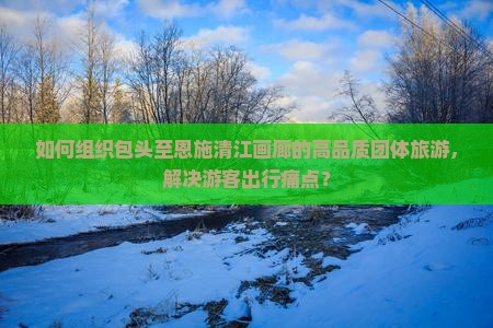 如何组织包头至恩施清江画廊的高品质团体旅游，解决游客出行痛点？