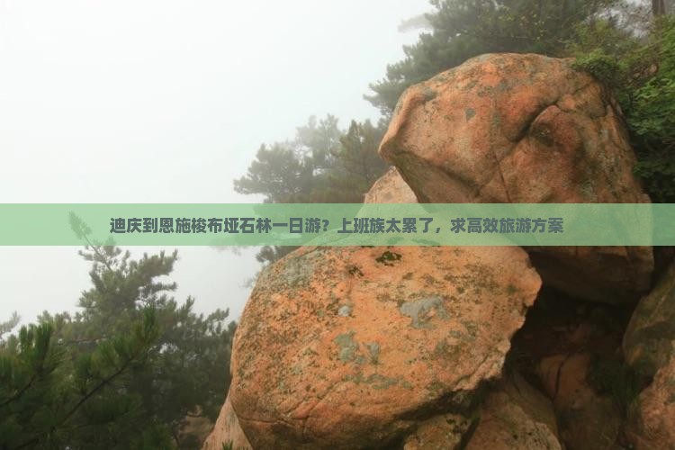 迪庆到恩施梭布垭石林一日游？上班族太累了，求高效旅游方案