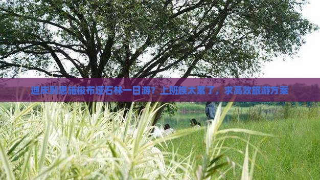 迪庆到恩施梭布垭石林一日游？上班族太累了，求高效旅游方案