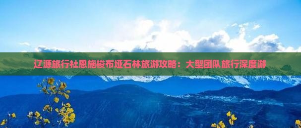 辽源旅行社恩施梭布垭石林旅游攻略：大型团队旅行深度游