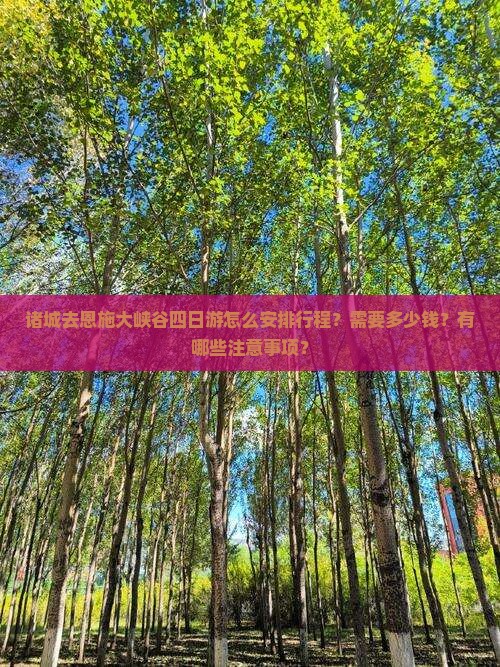 诸城去恩施大峡谷四日游怎么安排行程？需要多少钱？有哪些注意事项？