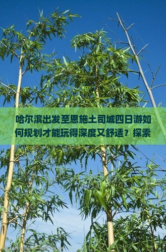 哈尔滨出发至恩施土司城四日游如何规划才能玩得深度又舒适？探索秘境之旅，解锁沉浸式体验新潮流！