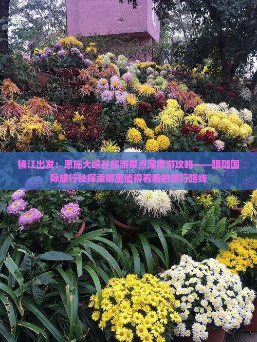 镇江出发：恩施大峡谷旅游景点深度游攻略——跟随国际旅行社探索哪里值得看看的旅行路线