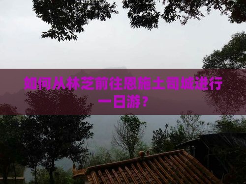 如何从林芝前往恩施土司城进行一日游？