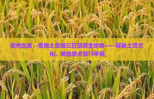衢州出发：恩施土司城三日旅游全攻略——探秘土司文化、精选景点旅行手册