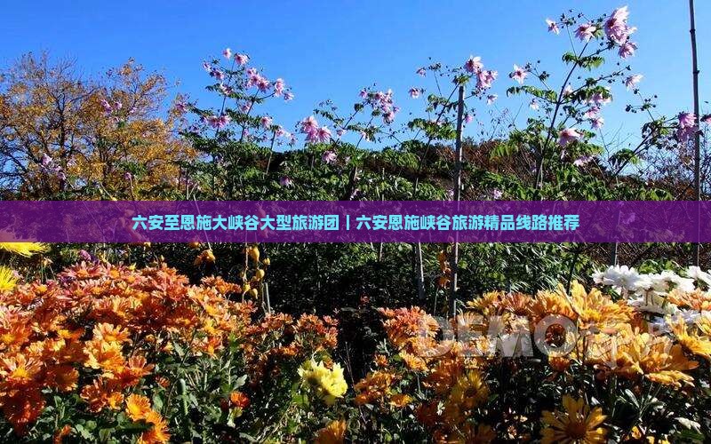 六安至恩施大峡谷大型旅游团｜六安恩施峡谷旅游精品线路推荐