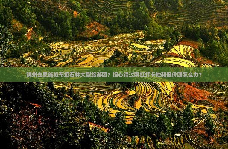 锦州去恩施梭布垭石林大型旅游团？担心错过网红打卡地和低价团怎么办？