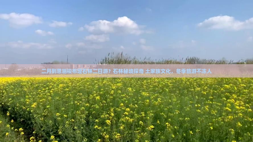 二月到恩施梭布垭石林二日游？石林秘境探奇+土家族文化，冬季旅游不冻人