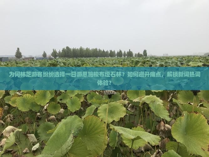 为何林芝游客纷纷选择一日游恩施梭布垭石林？如何避开痛点，解锁新词热词体验？