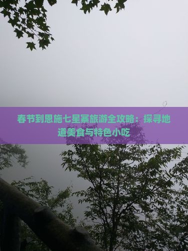 春节到恩施七星寨旅游全攻略：探寻地道美食与特色小吃