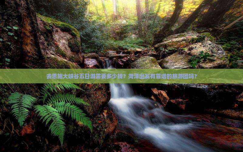 去恩施大峡谷五日游需要多少钱？菏泽出发有靠谱的旅游团吗？
