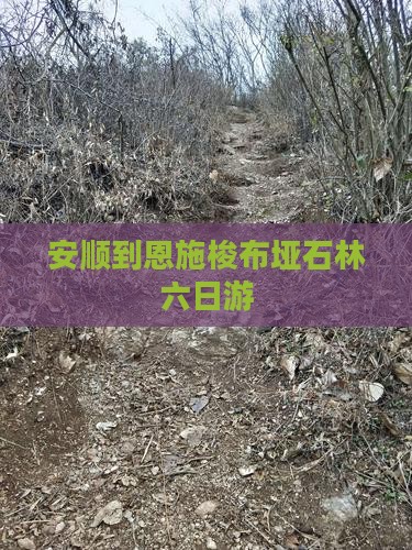 安顺到恩施梭布垭石林六日游