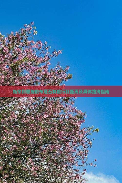 新余到恩施梭布垭石林旅行社距离及具体路线指南