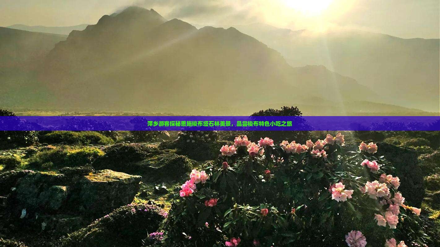 萍乡游客探秘恩施梭布垭石林美景，品尝梭布特色小吃之旅