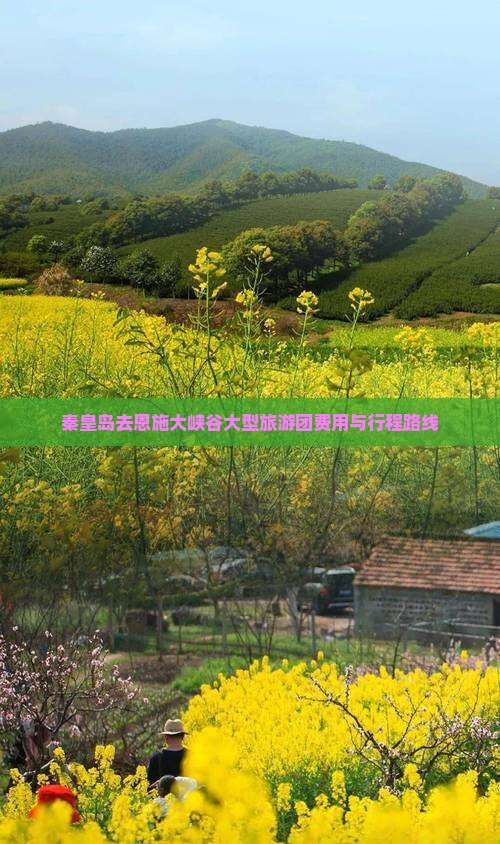 秦皇岛去恩施大峡谷大型旅游团费用与行程路线