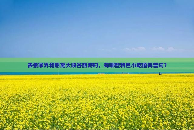 去张家界和恩施大峡谷旅游时，有哪些特色小吃值得尝试？