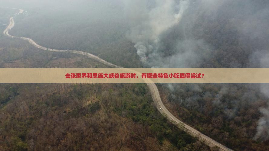 去张家界和恩施大峡谷旅游时，有哪些特色小吃值得尝试？