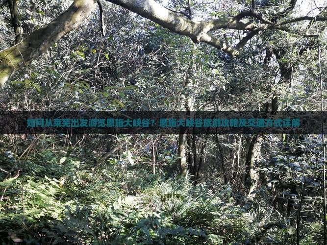 如何从莱芜出发游览恩施大峡谷？恩施大峡谷旅游攻略及交通方式详解