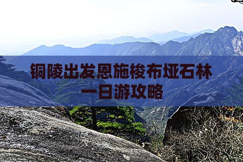 铜陵出发恩施梭布垭石林一日游攻略
