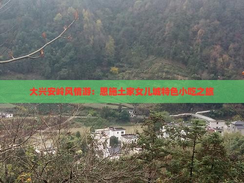大兴安岭风情游：恩施土家女儿城特色小吃之旅
