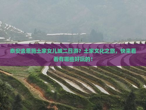 泰安去恩施土家女儿城二日游？土家文化之旅，快来看看有哪些好玩的！