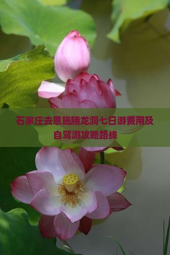 石家庄去恩施腾龙洞七日游费用及自驾游攻略路线