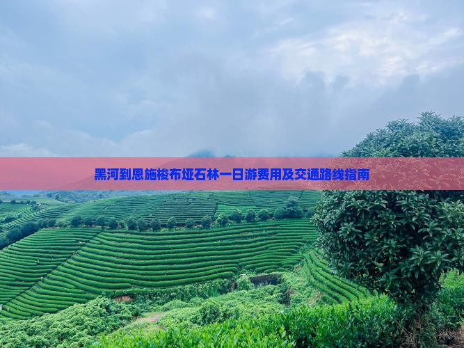 黑河到恩施梭布垭石林一日游费用及交通路线指南 黑河到恩施梭布垭石林一日游费用及交通路线指南