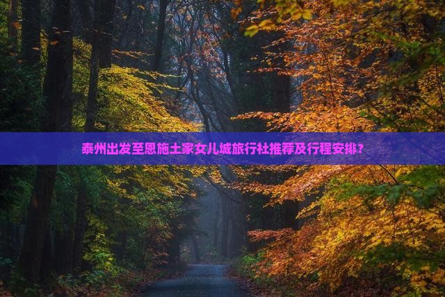 泰州出发至恩施土家女儿城旅行社推荐及行程安排？