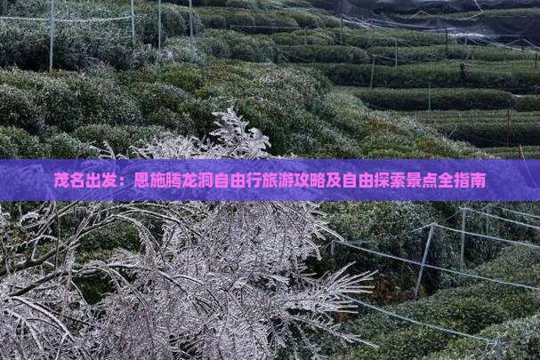 茂名出发：恩施腾龙洞自由行旅游攻略及自由探索景点全指南
