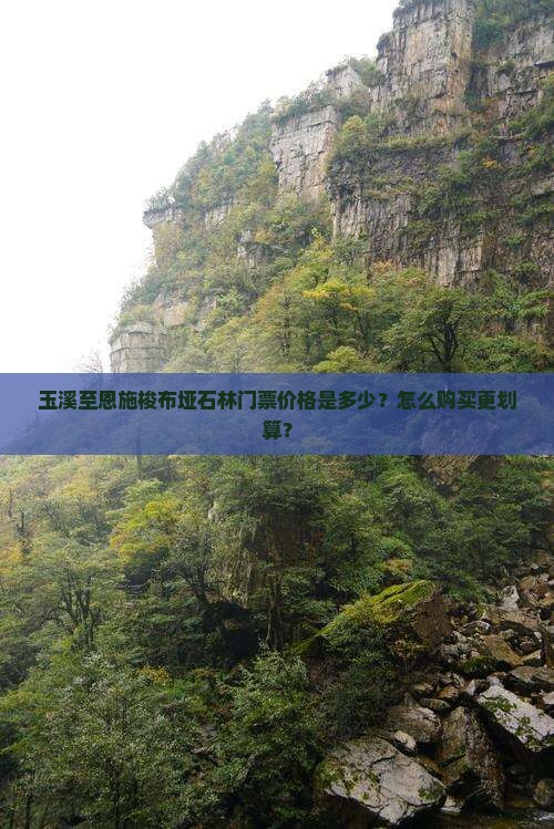 玉溪至恩施梭布垭石林门票价格是多少？怎么购买更划算？