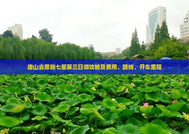 唐山去恩施七星寨三日游攻略及费用、路线、开车里程