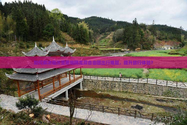 如何解决临沂至恩施腾龙洞自由团出行难题，提升旅行体验？