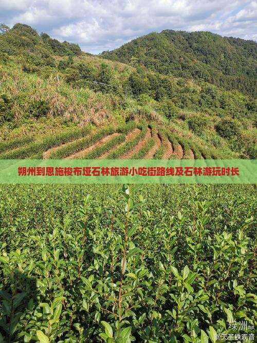 朔州到恩施梭布垭石林旅游小吃街路线及石林游玩时长