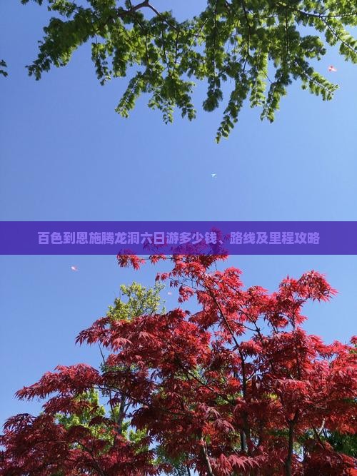 百色到恩施腾龙洞六日游多少钱、路线及里程攻略
