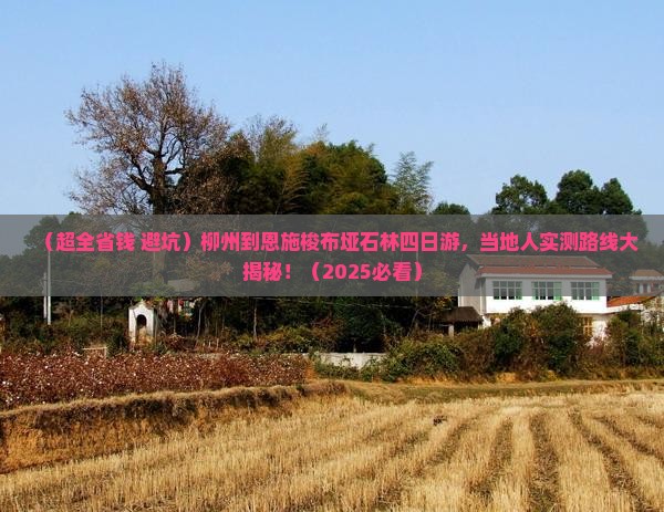 柳州到恩施梭布垭石林四日游