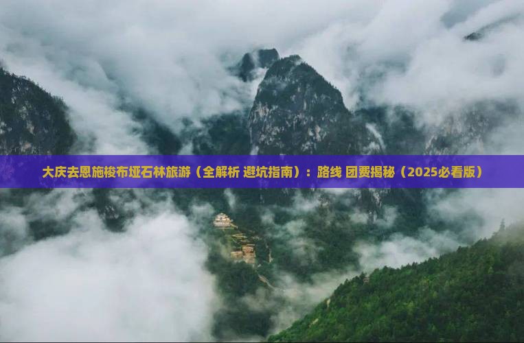 大庆去恩施梭布垭石林旅游
