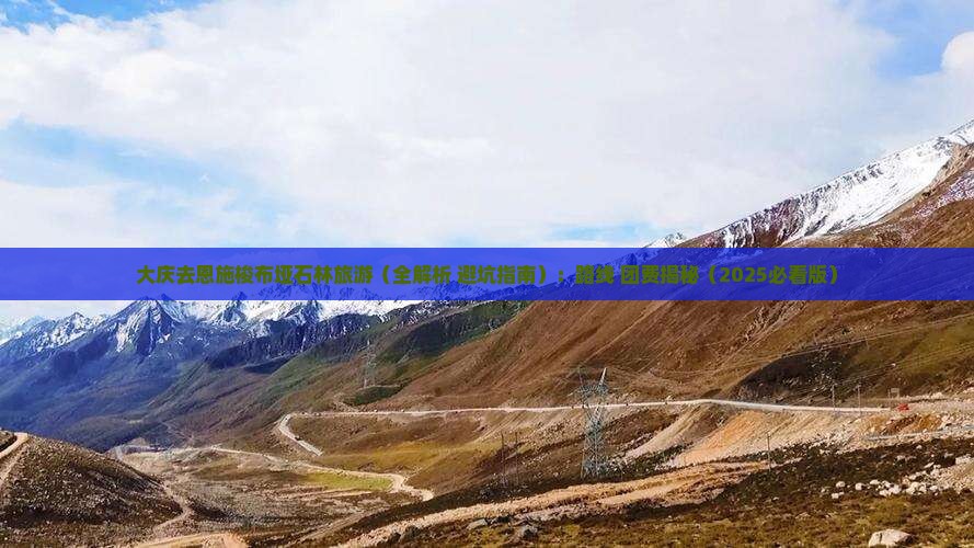 大庆去恩施梭布垭石林旅游