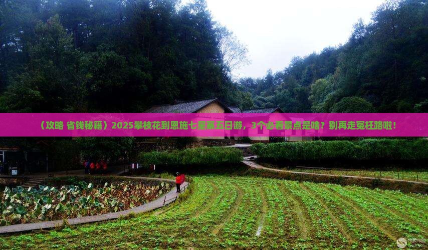 攀枝花到恩施七星寨五日游