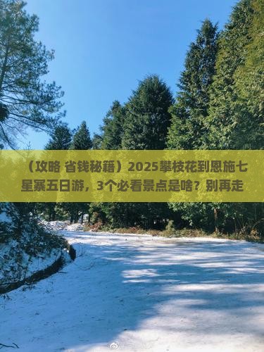 攀枝花到恩施七星寨五日游