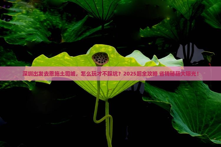 深圳到恩施土司城团体旅游 深圳到恩施土司城团体旅游