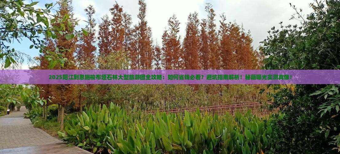 阳江到恩施梭布垭石林大型旅游团