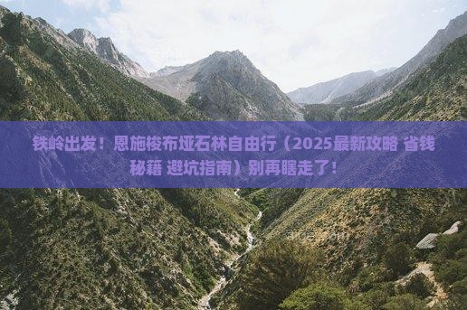 铁岭去恩施梭布垭石林自由行