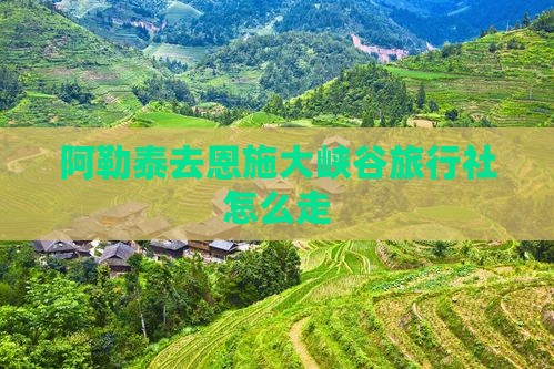 阿勒泰去恩施大峡谷旅行社